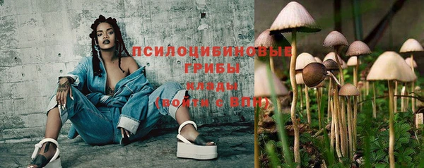 ECSTASY Заволжье