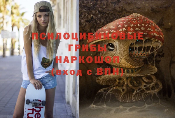 дурь Заводоуковск