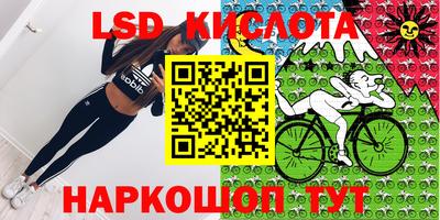 ПСИЛОЦИБИНОВЫЕ ГРИБЫ Новозыбков