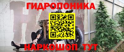 ПСИЛОЦИБИНОВЫЕ ГРИБЫ Новозыбков