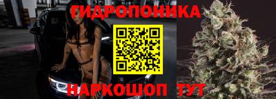 ПСИЛОЦИБИНОВЫЕ ГРИБЫ Новозыбков