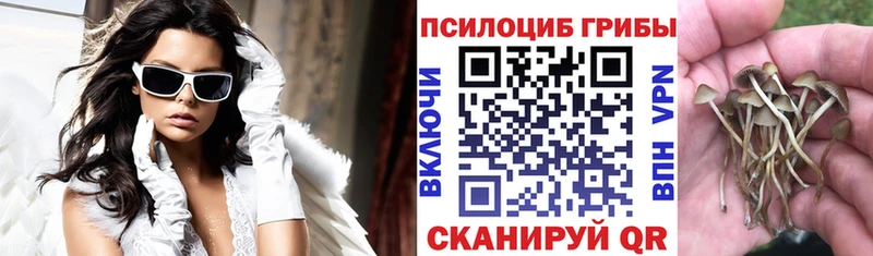 магазин  наркотиков  Ялта  Псилоцибиновые грибы Cubensis 
