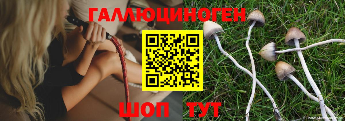 Галлюциногенные грибы Magic Shrooms Ялта